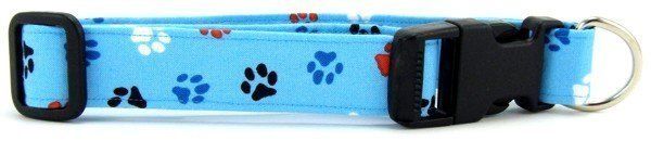 Aqua red, white, & blue paws collar (size: Xsmall)