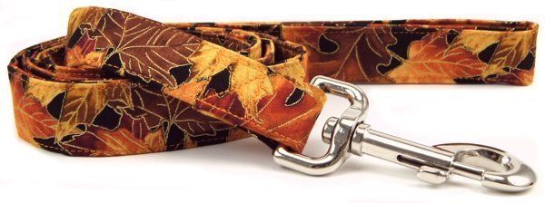 Autumn Leaves Dog Leash (size: XS)