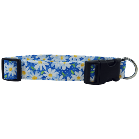 Blue Daisies Dog Collar (size: XS)