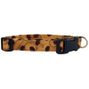 Coffee Beans on Tan Dog Collar