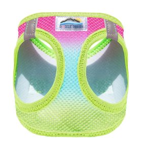 American River Choke Free Dog Harness Ombre Collection - Rainbow (Option: XX-Small)