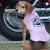 Biker Dawg -Pink