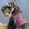 Cool Mesh Dog Harness Under the Sea Collection - Sunglasses Pink and Black Polka Dot