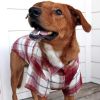 Flannel Dog Shirt - Red and White Plaid