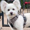 Venture Paw Pull Control Dog Harness - Dried Sage