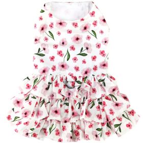 Spring Wildflower Dress w/Matching Leash (Option: X-Small)