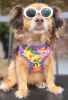 Wrap and Snap Choke Free Dog Harness by Doggie Design - Sunset Hibiscus