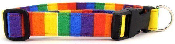 Rainbow Pride Dog Collar (size: XS)