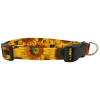 Sunny Sunflowers Dog Collar