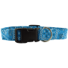 Turquoise Bandana Dog Collar