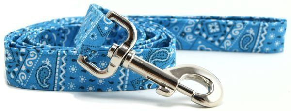 Turquoise Bandana Dog Leash (size: XS)